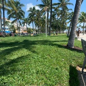 Meet your Posher, Renee